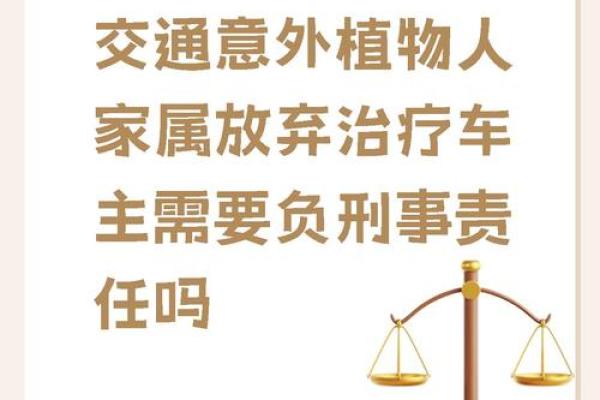 深入探讨：什么是法律及其在社会中的作用