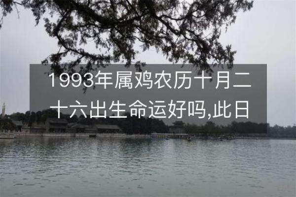 1993年属鸡人的命运与个性解析